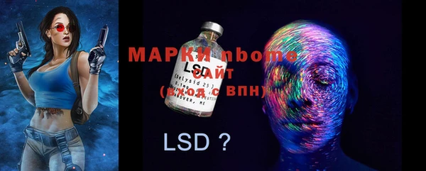 твердый Абаза