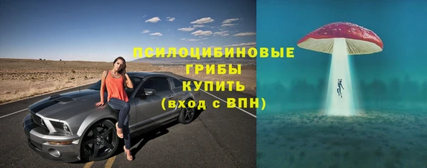 твердый Абаза