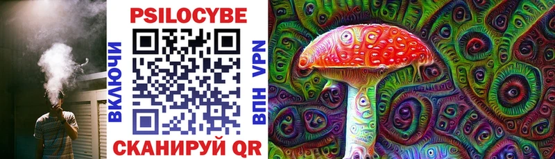 блэк спрут как войти  продажа наркотиков  Щёлково  Псилоцибиновые грибы мицелий 
